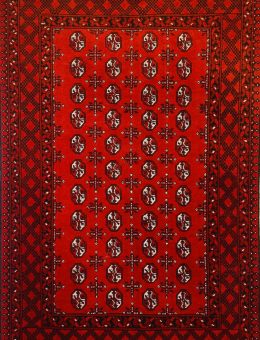 BUKHARA 2,40 X 1,61